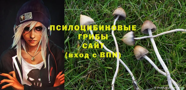 ECSTASY Белоозёрский