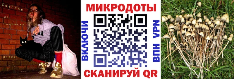 Галлюциногенные грибы MAGIC MUSHROOMS Красавино